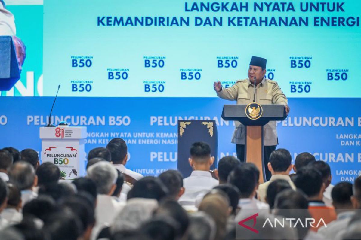Papua Simpan Emas Besar, Danantara Genjot Kepercayaan Global