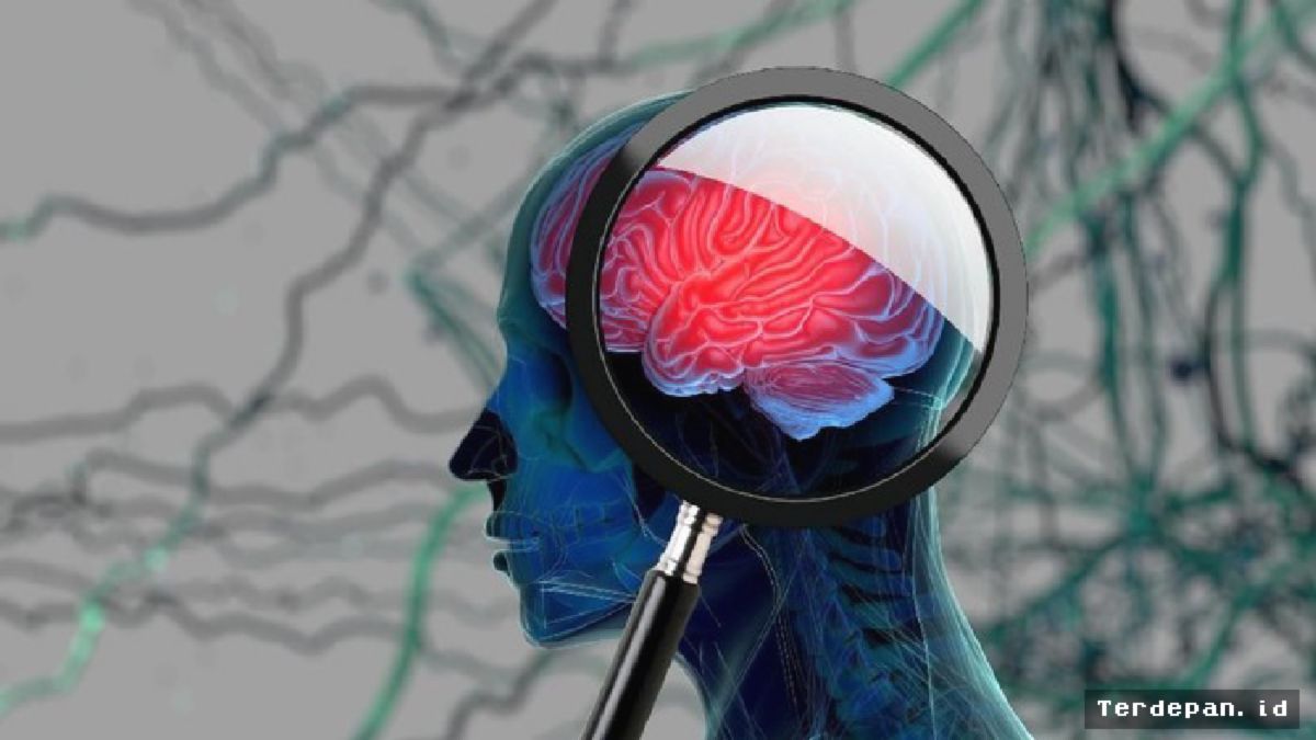Pola Makan Antiinflamasi Turunkan Risiko Demensia pada Lansia