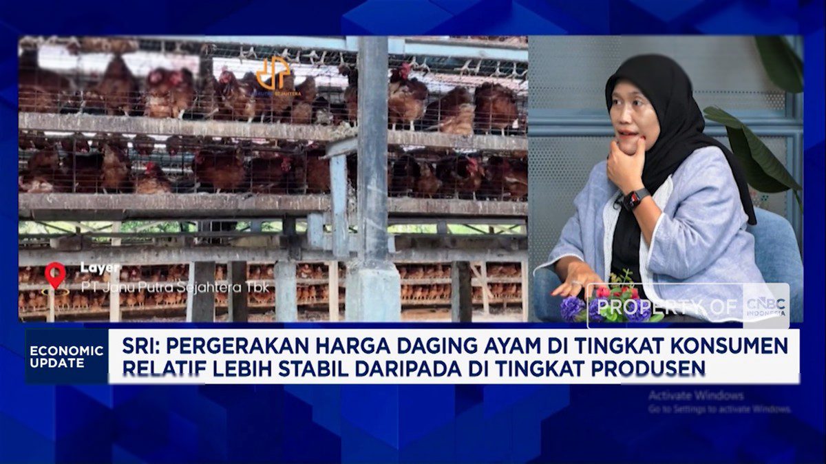 Strategi Pengusaha Ayam Jaga Stabilitas Harga Saat Permintaan Lesu