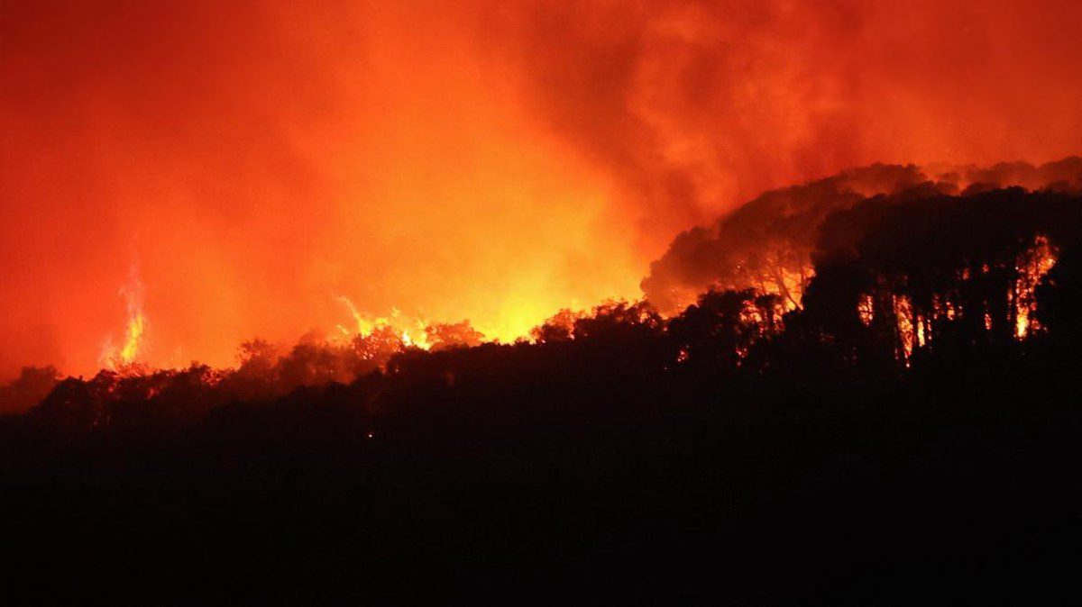 Kebakaran Hutan Terburuk di Spanyol: 12 Tewas, 23 Hilang, Lahan 57.000 Hektar