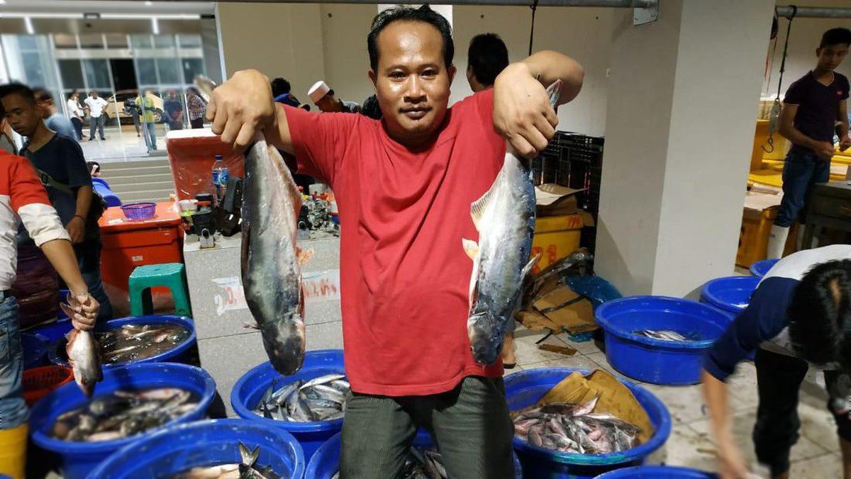 Lonjakan Harga Ikan Segar Picu Inflasi, Ternyata Ini Penyebab Utamanya