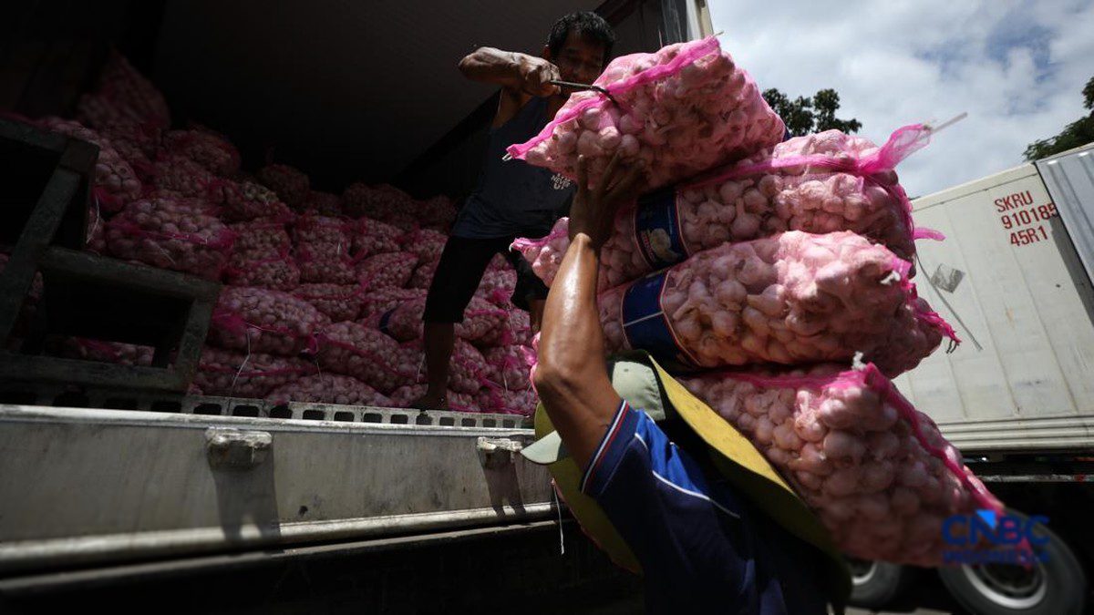 269 Daerah Terdampak, BPS Ungkap Penyebab Mahalnya Bawang Putih