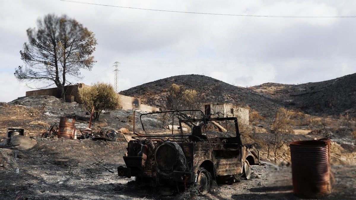 Kebakaran Hutan Dahsyat di Spanyol Renggut 12 Nyawa dan Hanguskan 6.000 Hektare