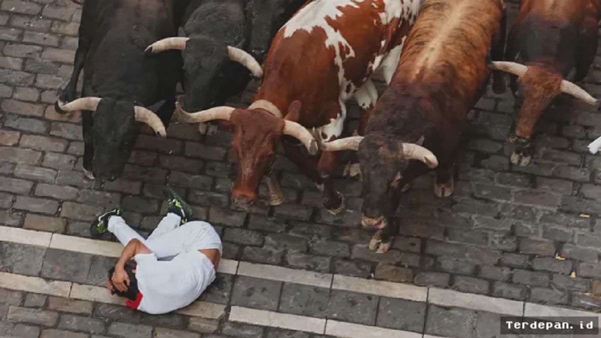 Pamplona — Peserta Terjatuh Saat Berlari dengan Banteng di Festival San Fermín